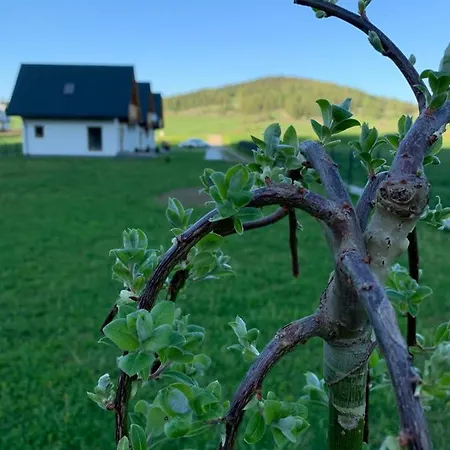 度假居 Horizon - Dobre Miejsce *