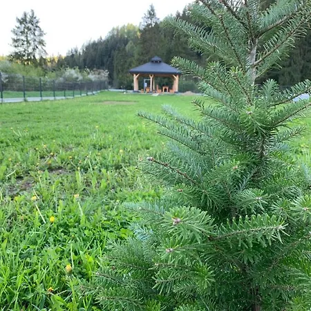 Feriehus Horizon - Dobre Miejsce Niedzica