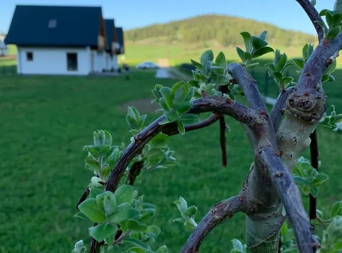 Casa vacanze Horizon - Dobre Miejsce *