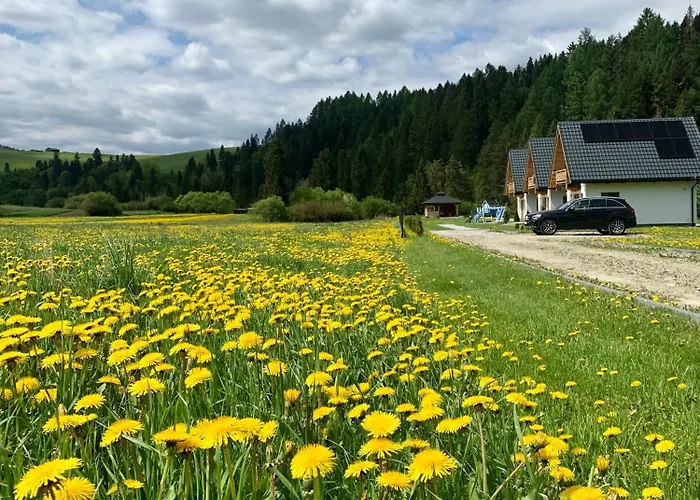 Horizon - Dobre Miejsce Casa vacanze *